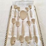 Box with 12 vintage spoons and spoon for serving ice cream in stainless steel