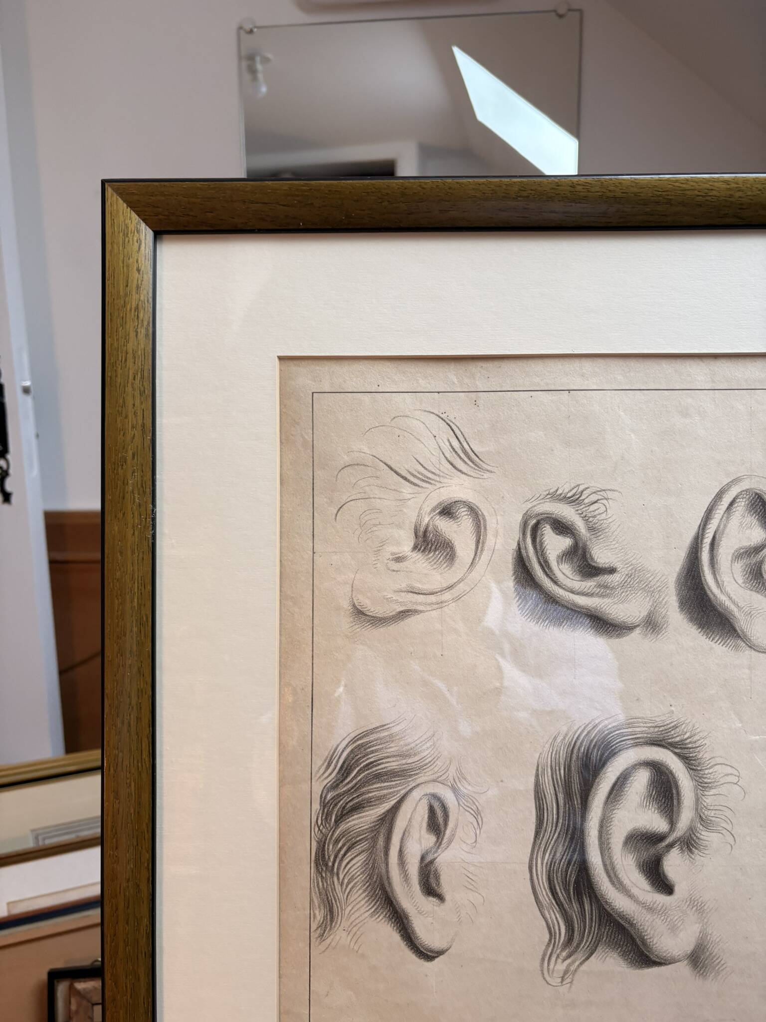 Old Print Engraving 19th Century Framed Academic Study Ear Van Bree