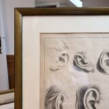 Old Print Engraving 19th Century Framed Academic Study Ear Van Bree