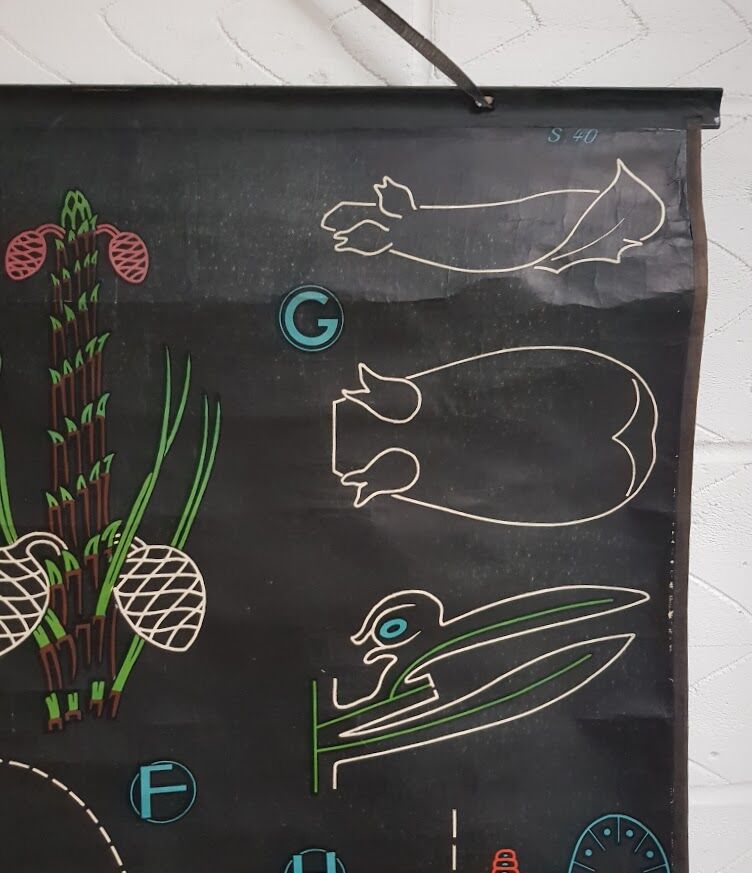 Vintage school poster by Paul Sougy - Le Pin, 1952