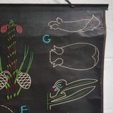 Vintage school poster by Paul Sougy - Le Pin, 1952