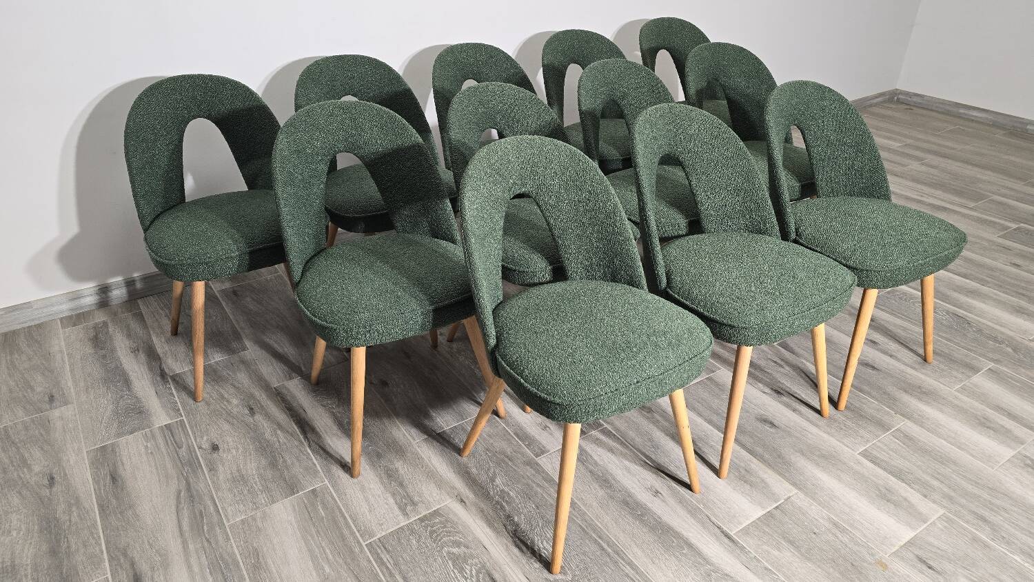 Dining Chairs by Antonin Suman, 1960s, Set of 12