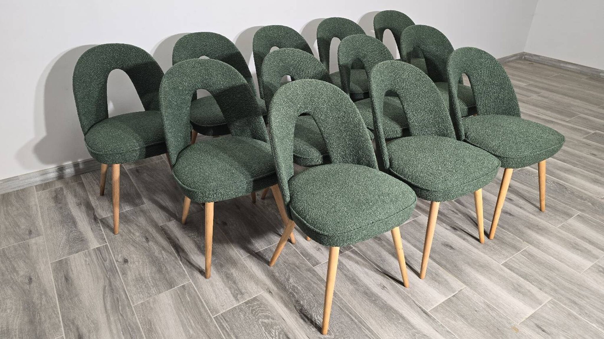 Dining Chairs by Antonin Suman, 1960s, Set of 12