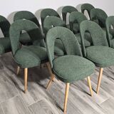 Dining Chairs by Antonin Suman, 1960s, Set of 12