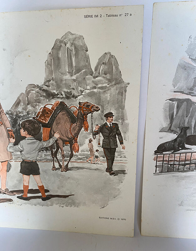 Affiche zoo, oiseaux