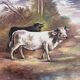 Large decorative plate made of hand-painted porcelain – Countryside scene with cattle