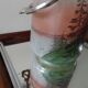 Bucket or biscuit tin