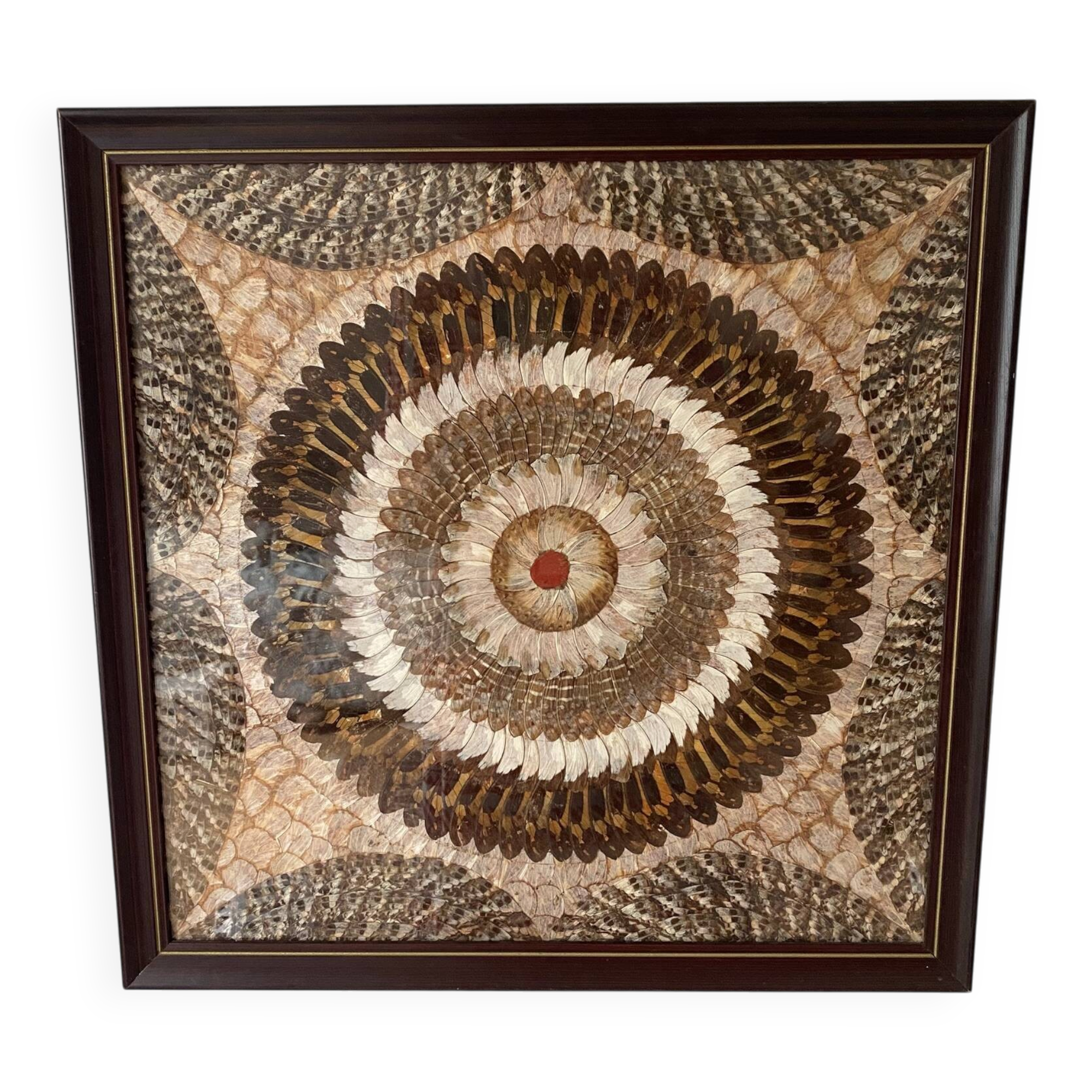 Vintage frame butterfly wings mosaic
