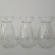Lot de 3 vases à bulbes de jacinthe