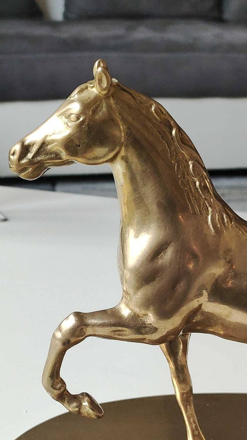 Large vintage horse in exercise figurine on oval base, in polished brass 26 x 19 cm