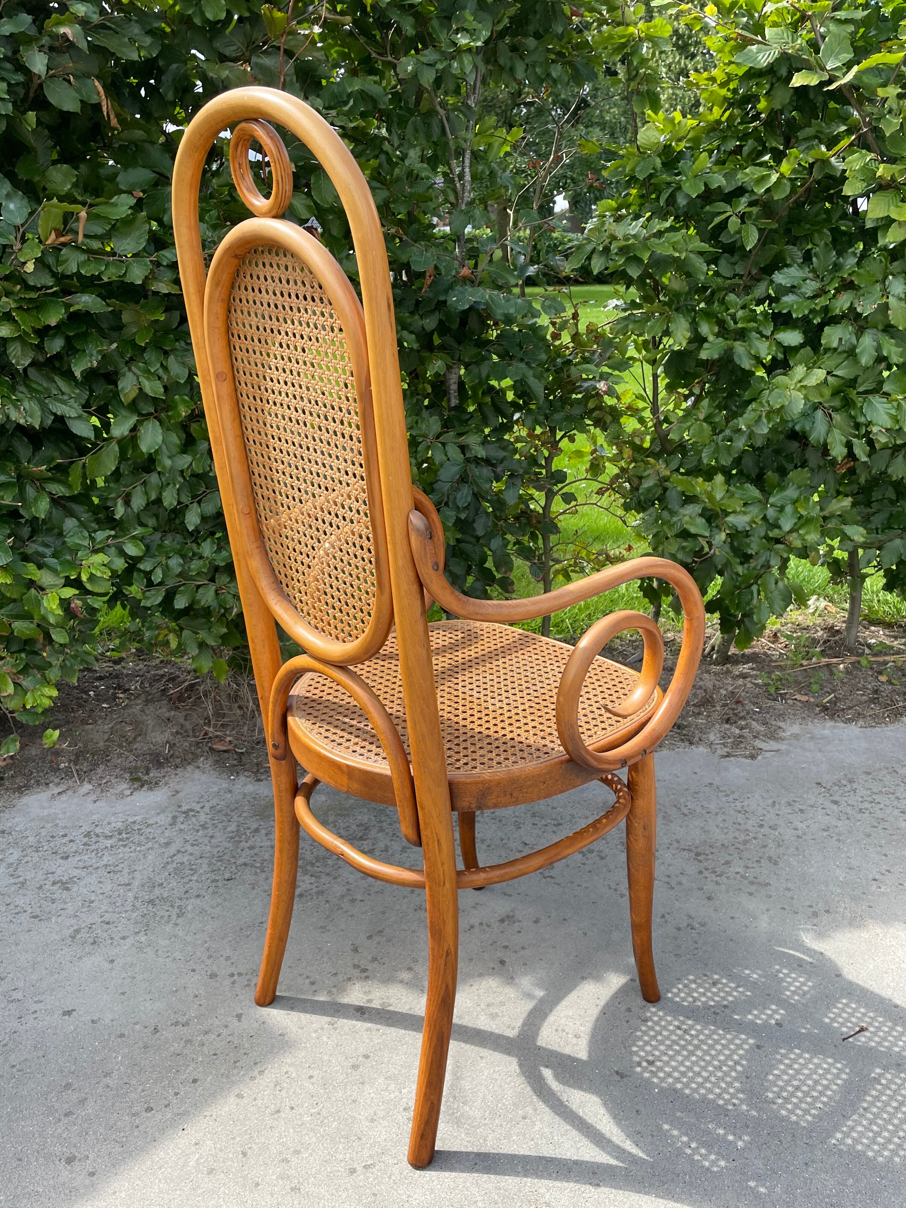 Sculptural bendwood side chair model
