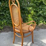 Sculptural bendwood side chair model