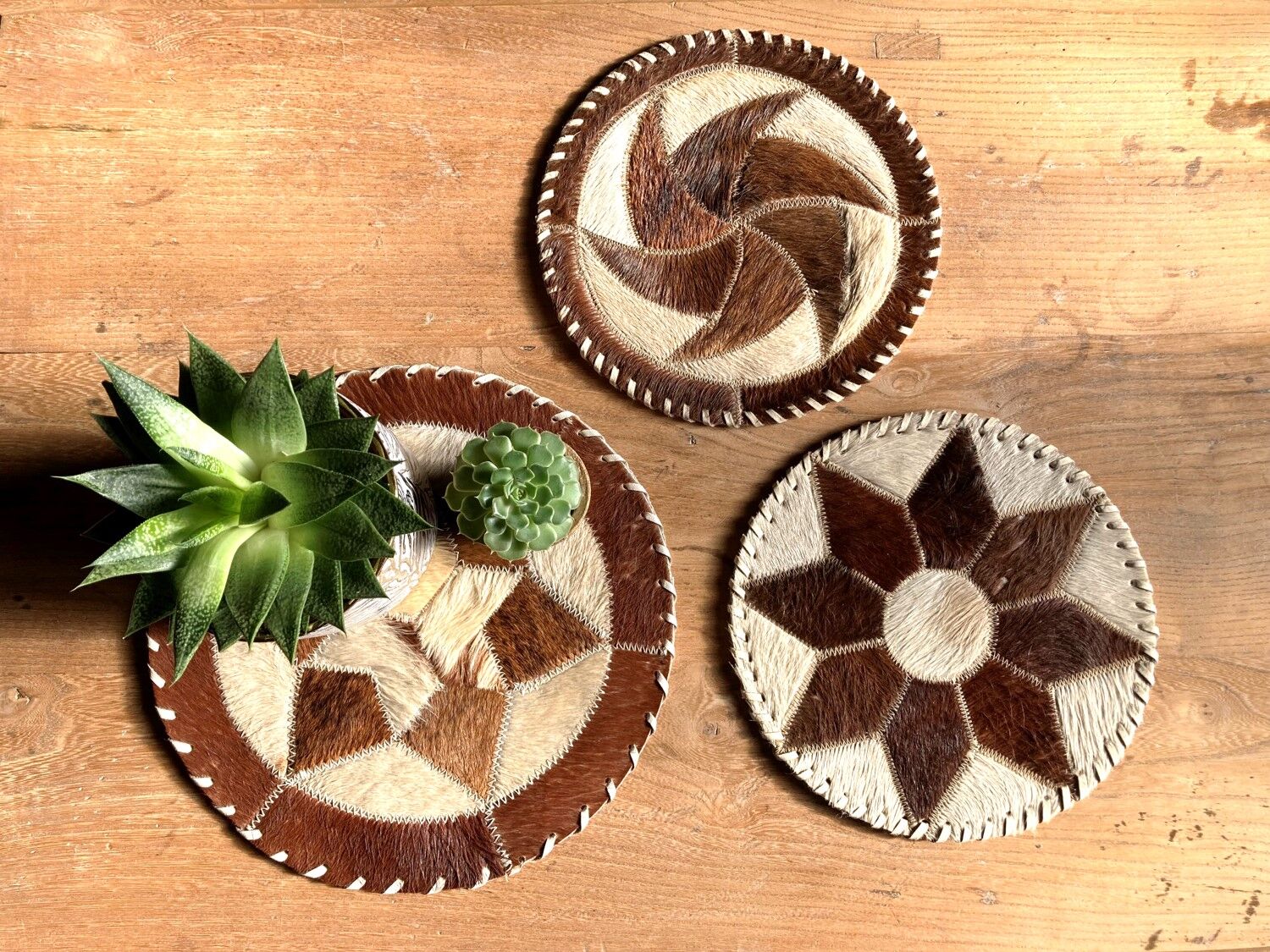 Decorative skin trivets