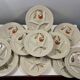12 vintage Hollandia sarreguemine plates