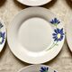 Vintage blue flower dessert plates