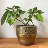 Brass planter from the 70s and 80s