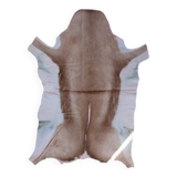 Lot of cowhides