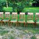 6 lounge chairs old Louis XVI Directoire style