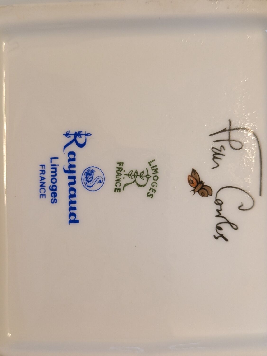 Raynaud's Pocket Book by Fleur Cowles