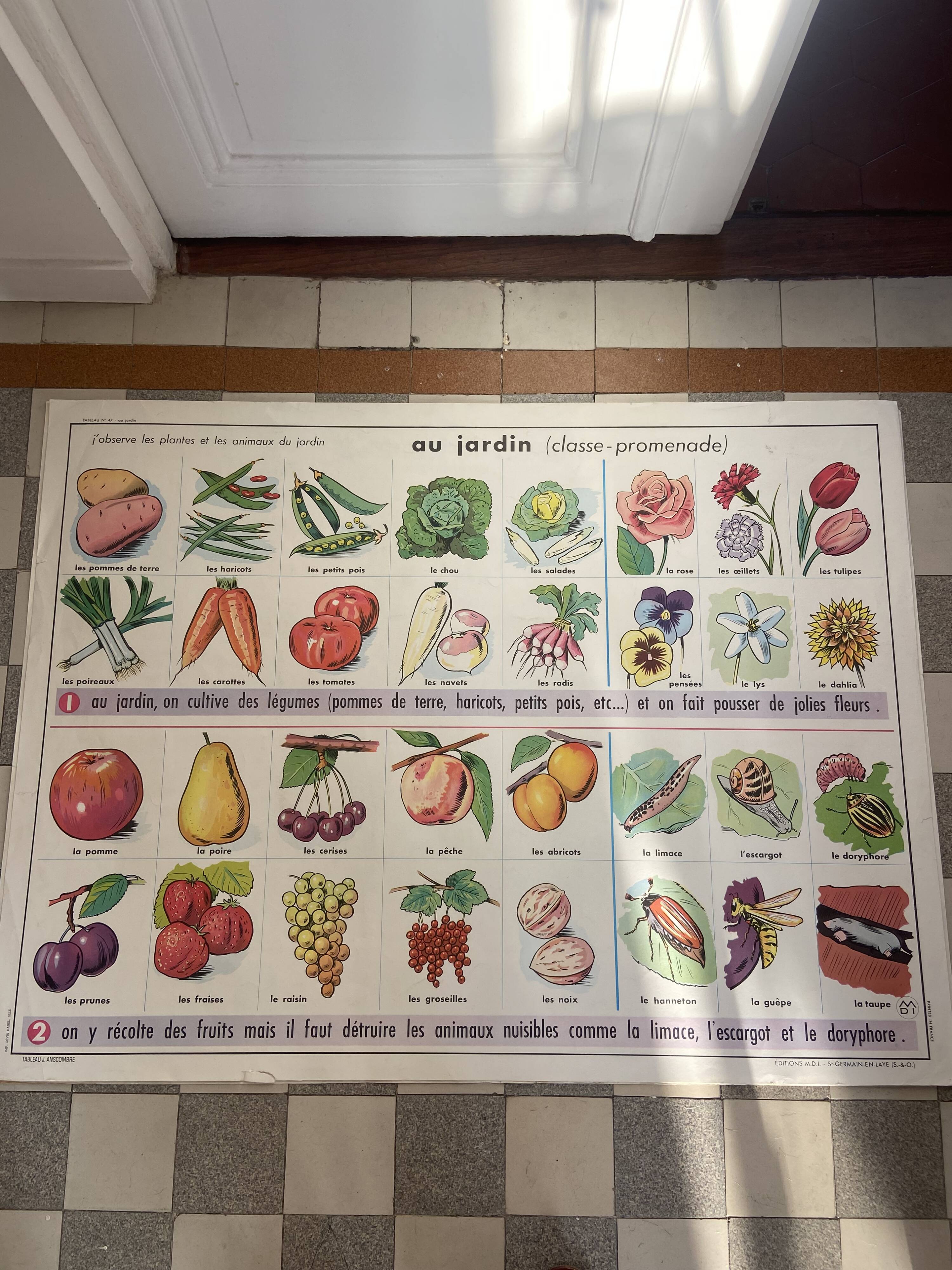 Vintage educational poster