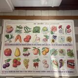 Vintage educational poster