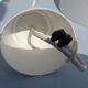 White hanging lamp