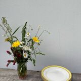 3 Biarritz Basque yellow plates