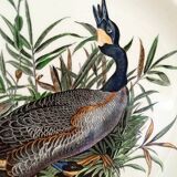 Decorative Plate