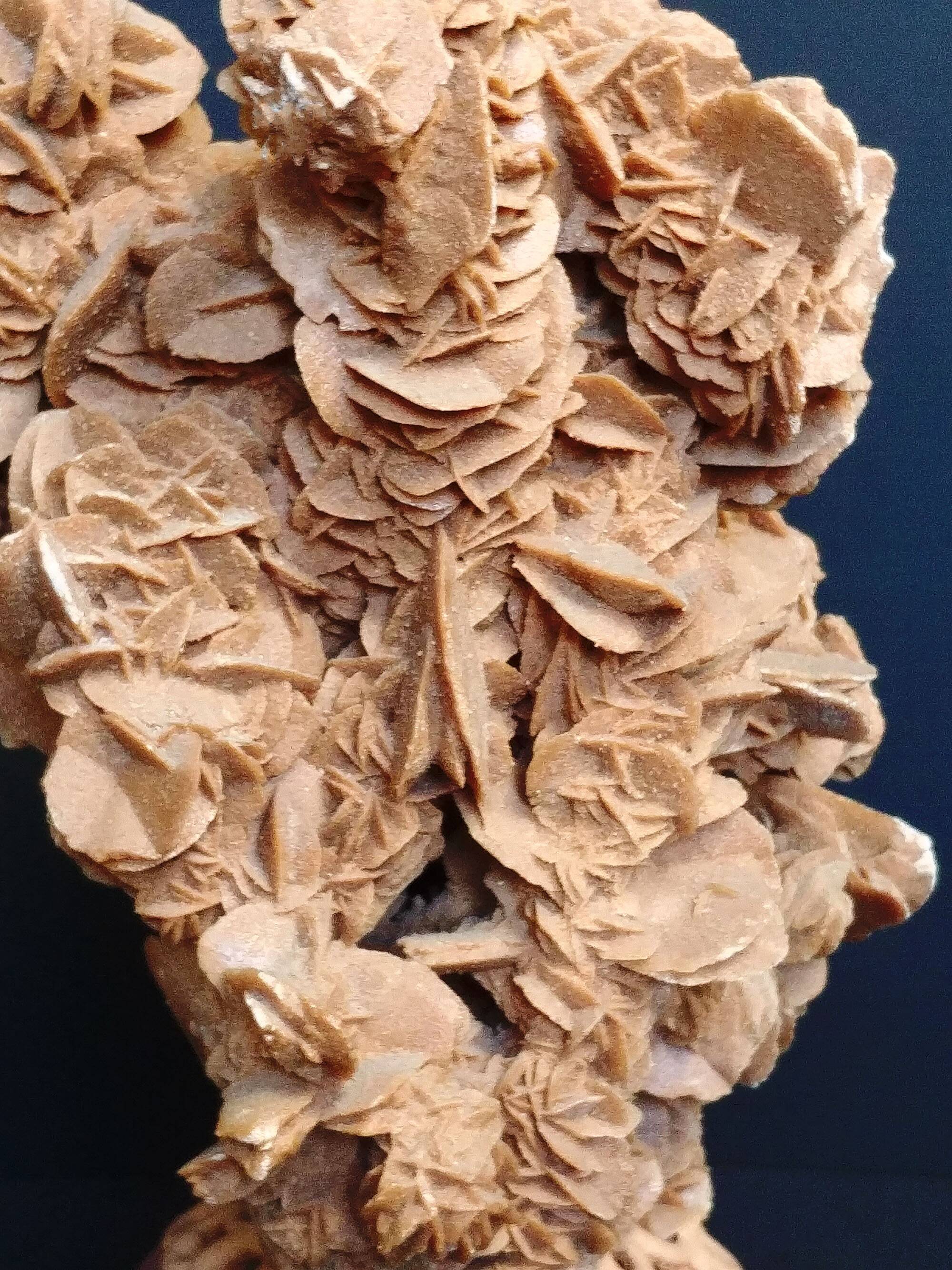 Exceptional rose des sables on a trimmed stem.