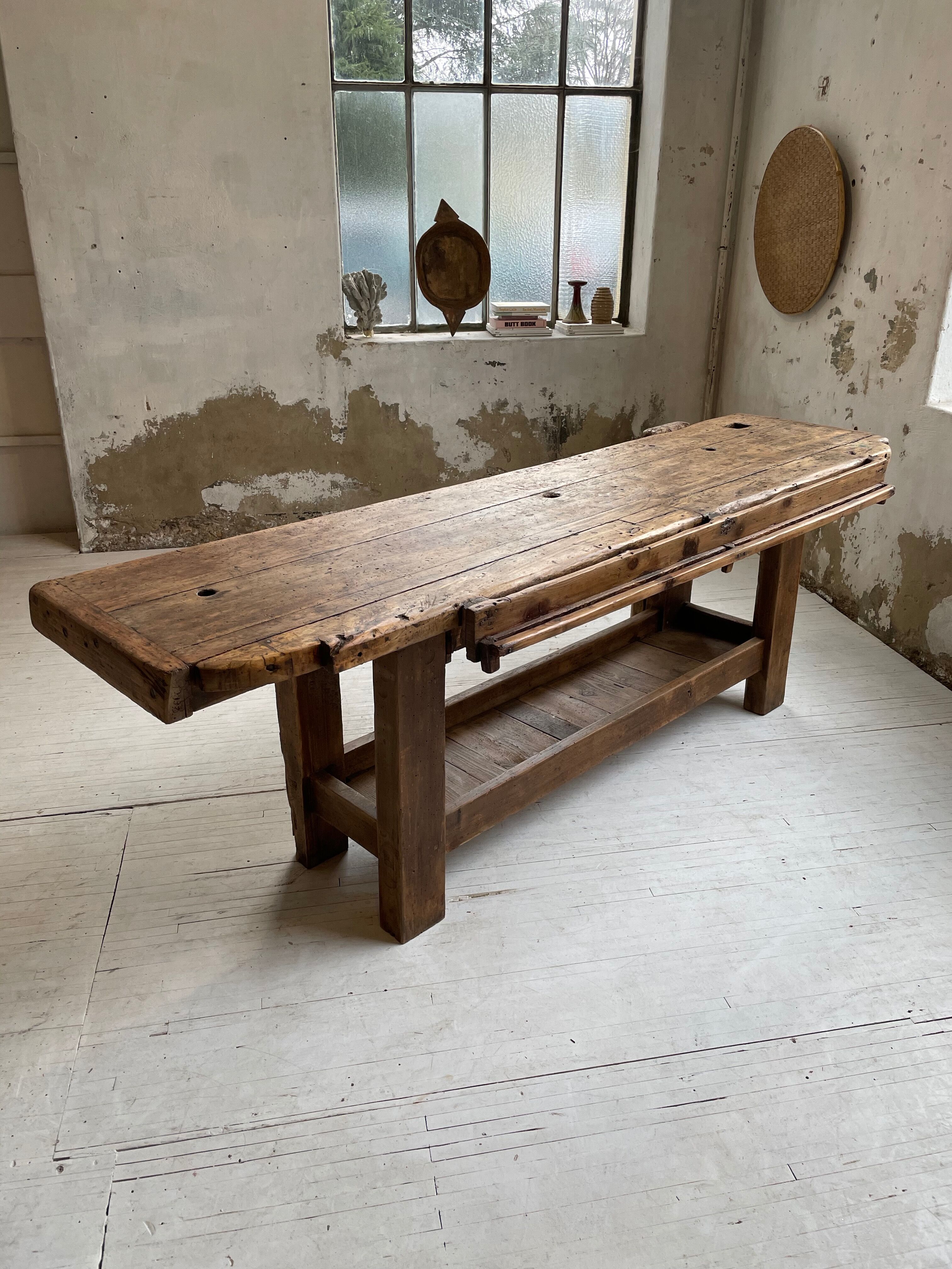 Established old oak XL