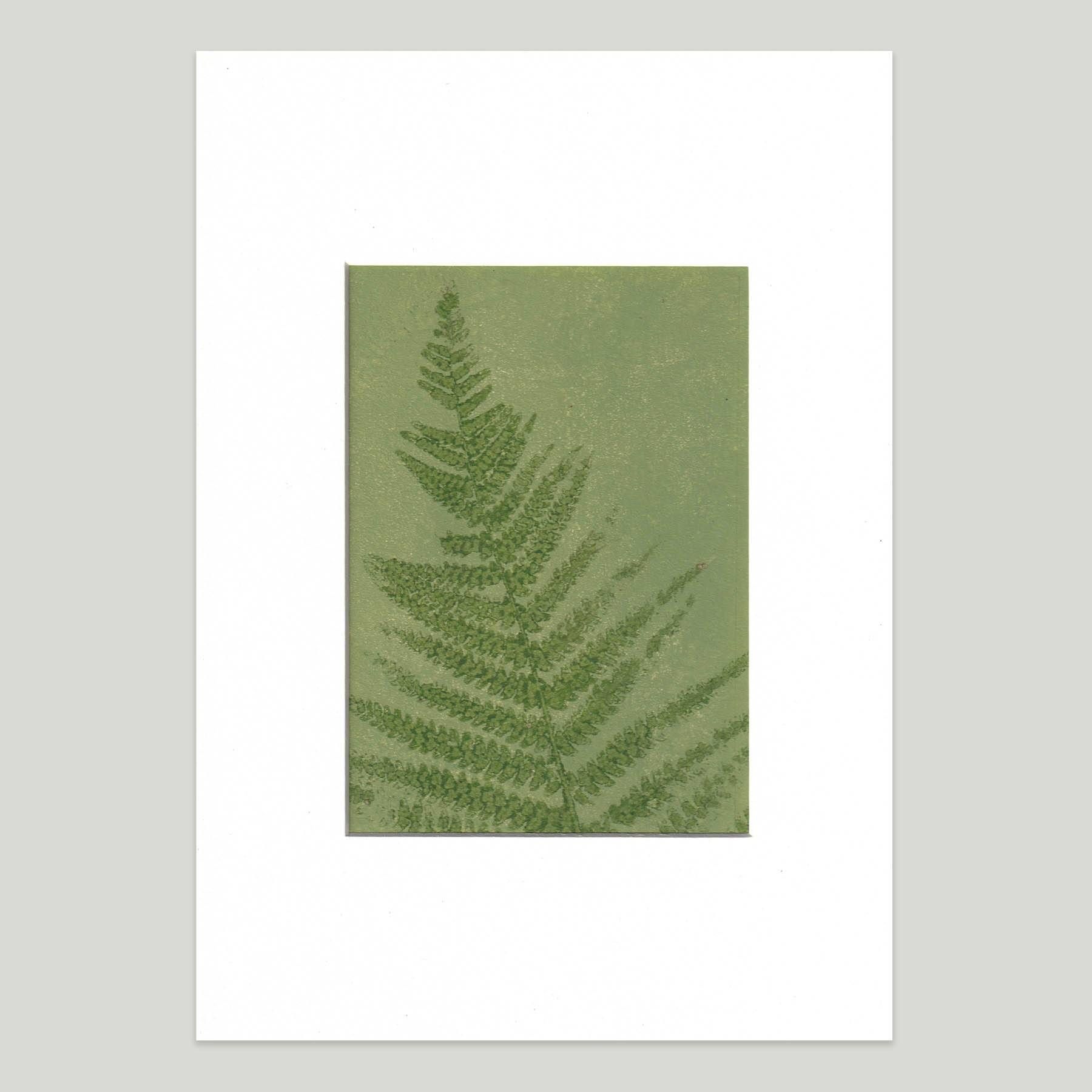Painting on paper, herbarium and botanical series signed Eawy.