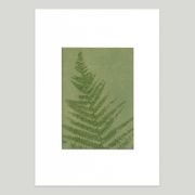 Peinture sur papier série herbier  et botanique signée Eawy