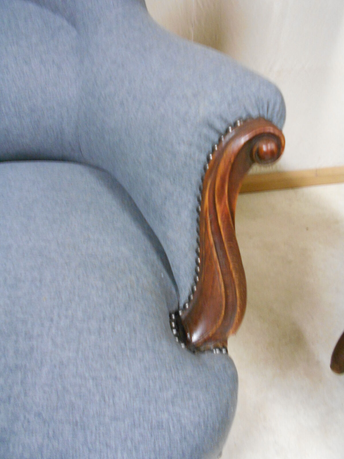 Pair of armchairs Toad Napoleon III