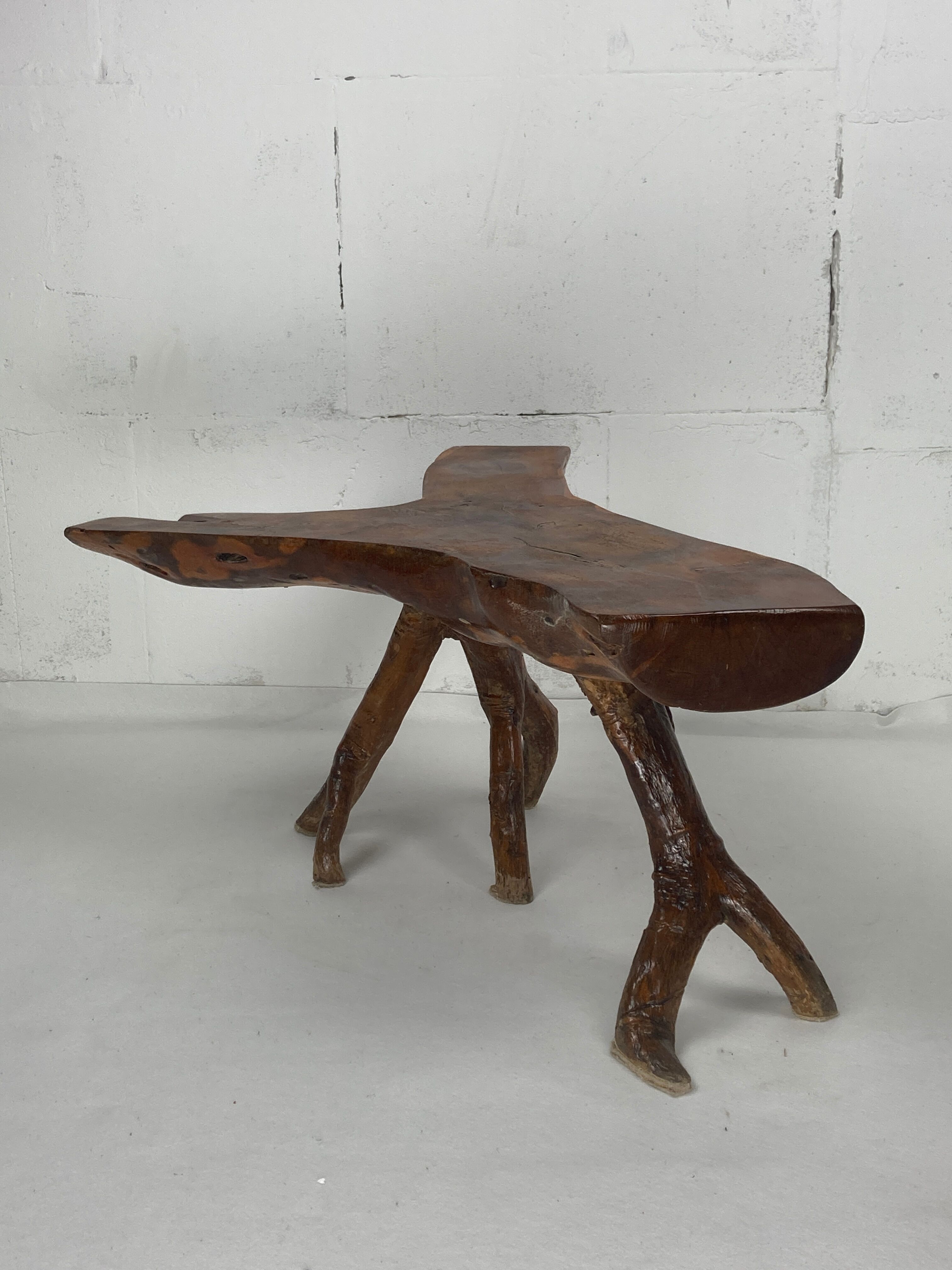 Wabia sabi rustic tree branch side table, Dutch 1960s