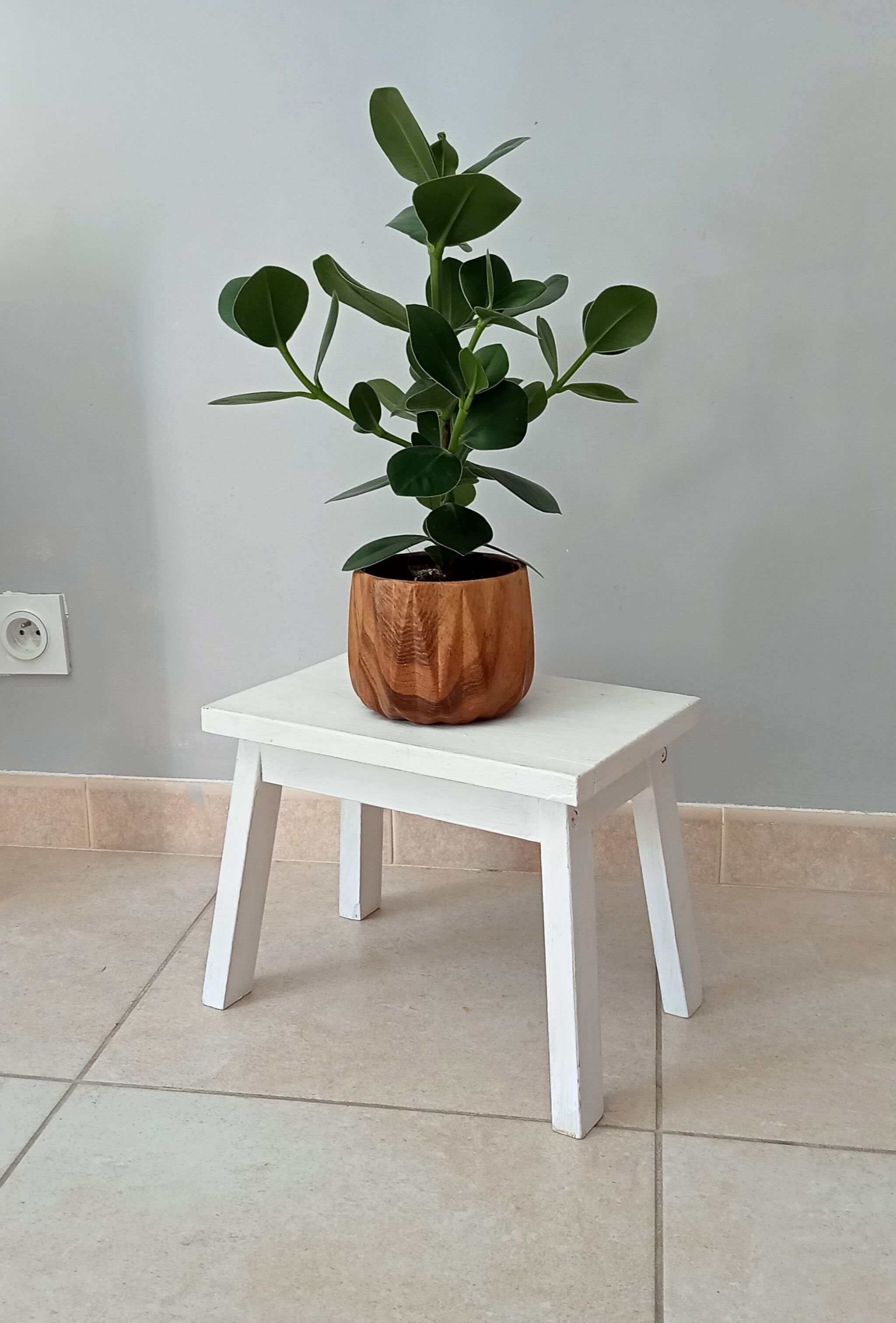 Vintage plant carry stool