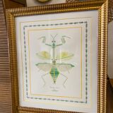 Trumeau old gilded mirror