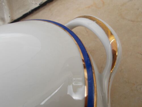 Vegetable and its dish Limoges porcelain blue and gold fillet