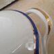 Vegetable and its dish Limoges porcelain blue and gold fillet