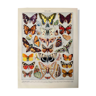Lithographie gravure sur les papillons de 1928 (Europe)