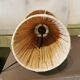Large raffia lamp