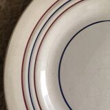 Matching flat plates in red and blue