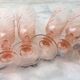 6 glasses vintage champagne flutes