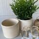 Pair of earthenware pots from Badonviller
