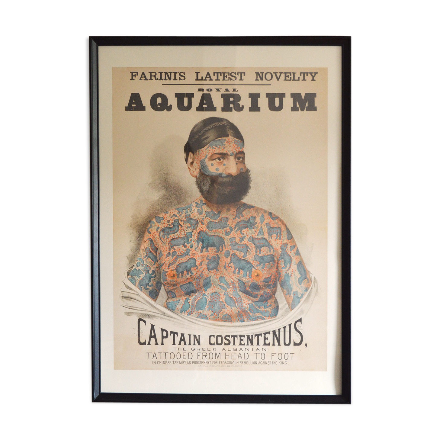 Advertising poster - Captain Costentenus