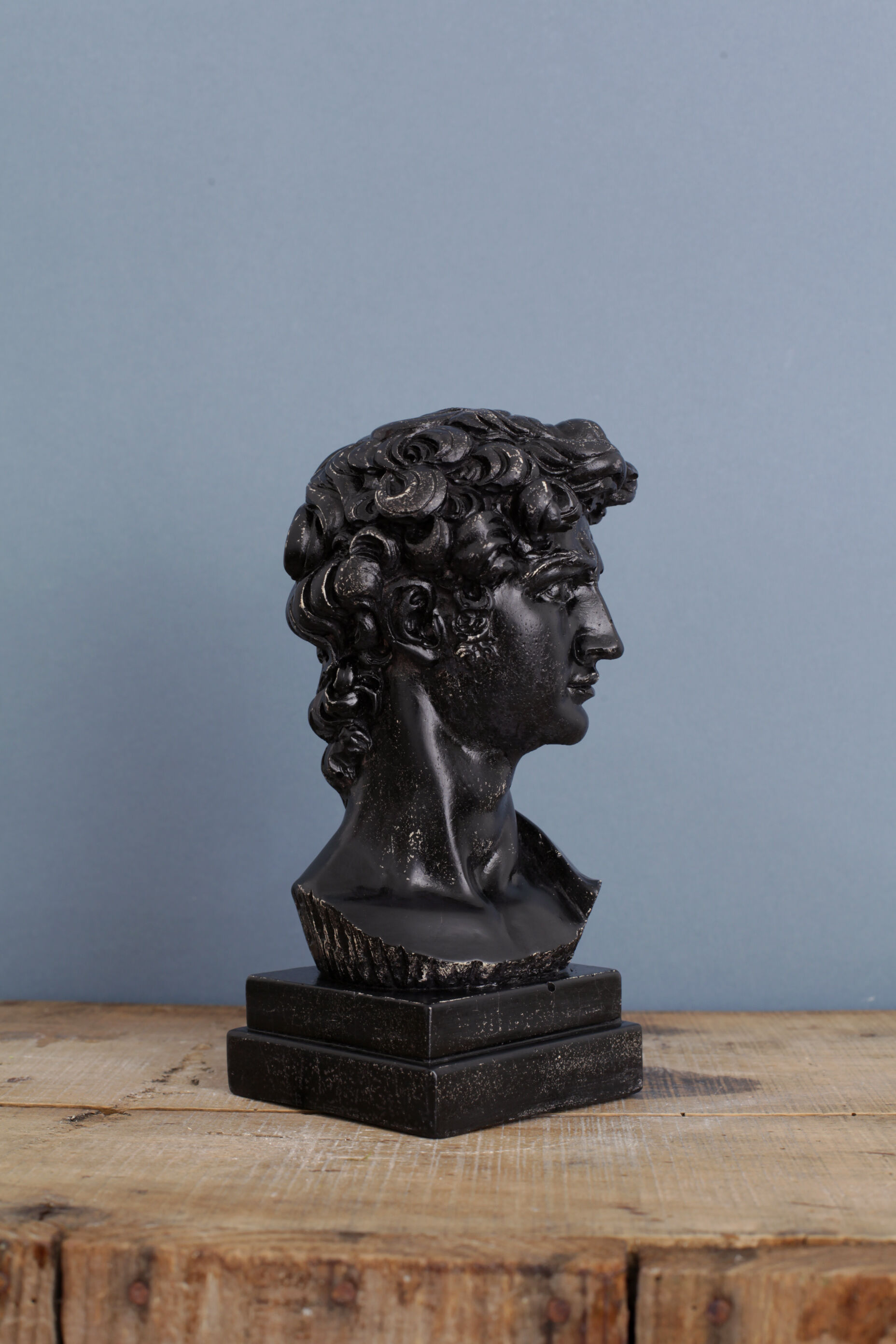 David head in black waxed bean