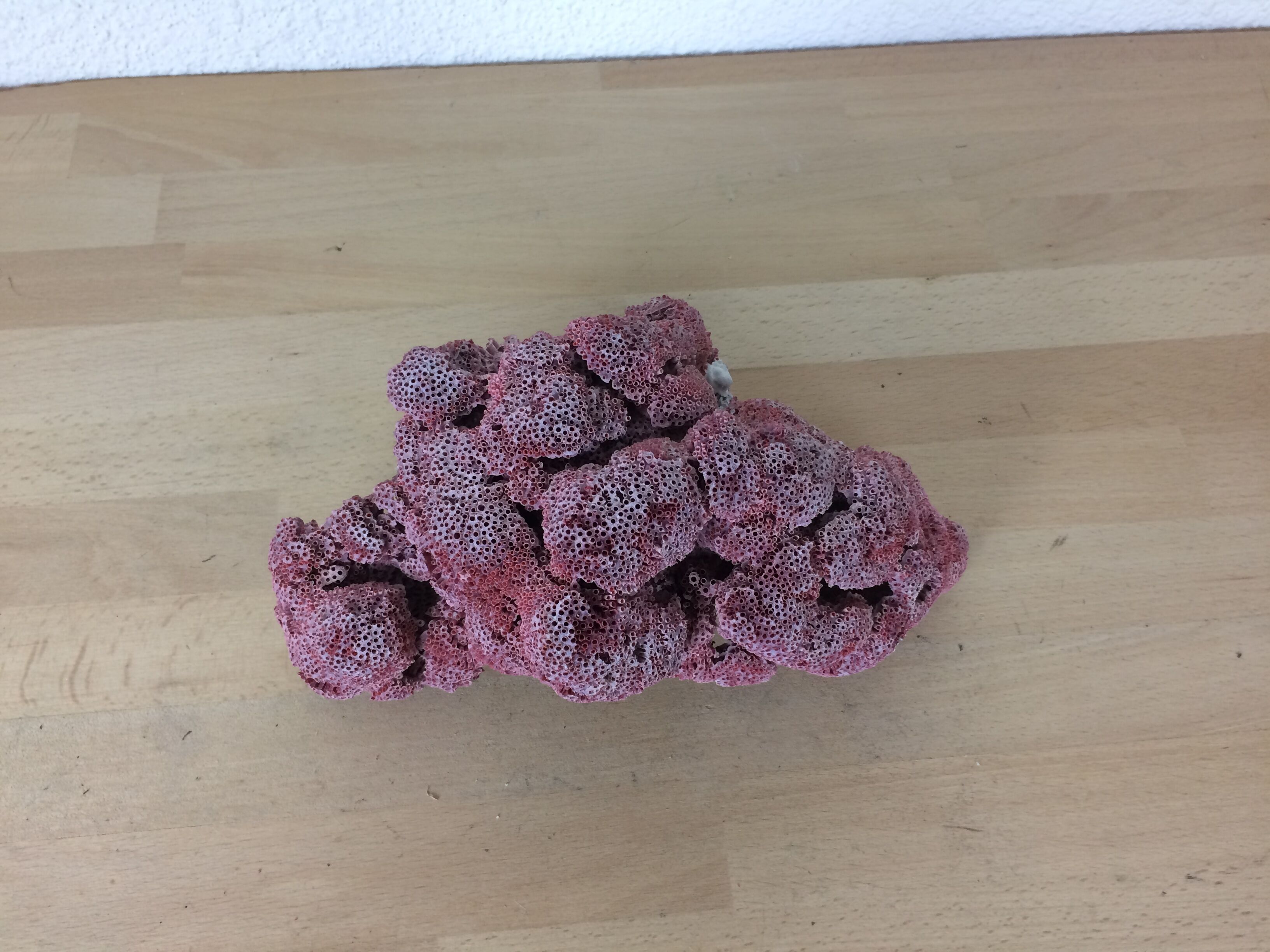 Old pink coral 24 cm