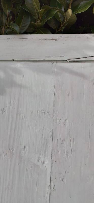 Small 18th century cupboard door h171.5x87.5cm old