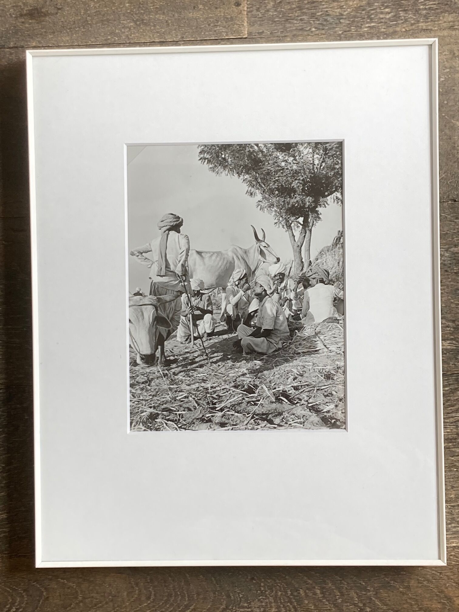 Original photograph by Suraj N Sharma: Chaksu Pilgrimage