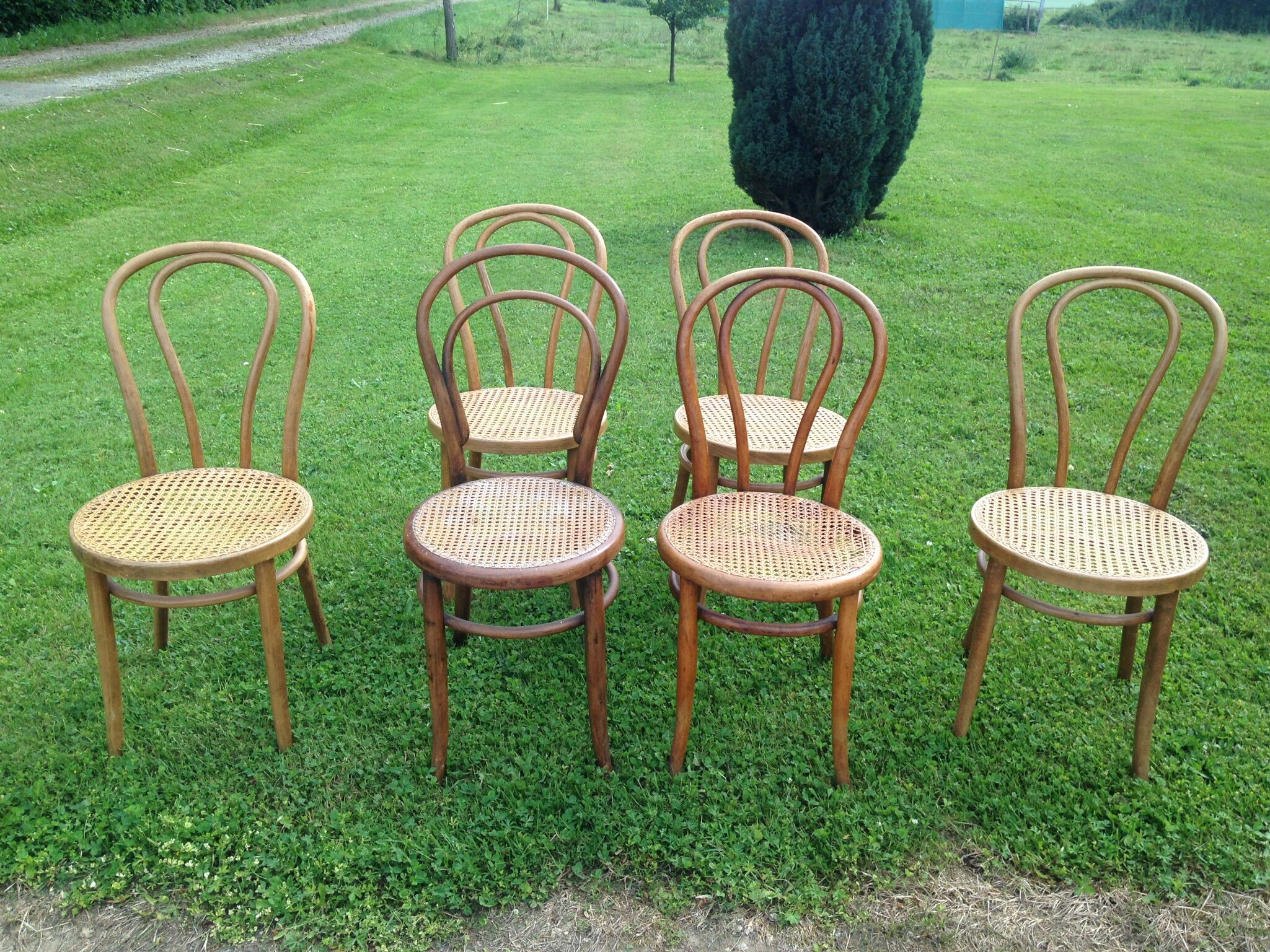 Set of 6 chairs Thonet