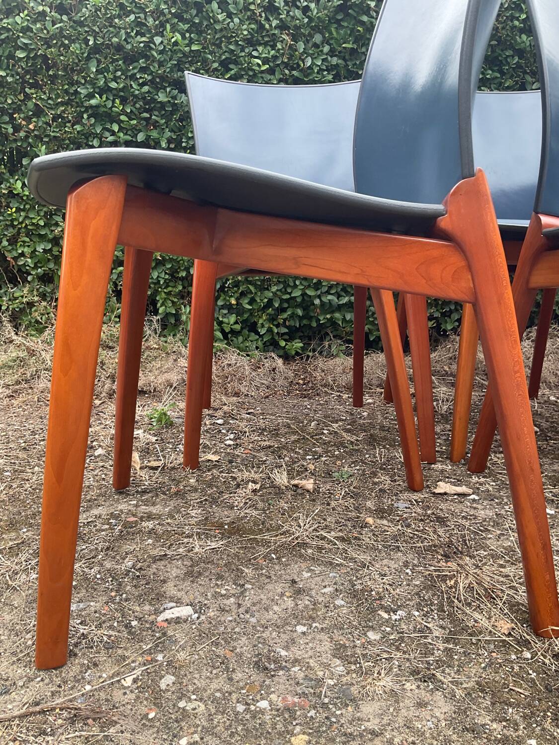Série de 6 chaises Cassina par Josep Llusca